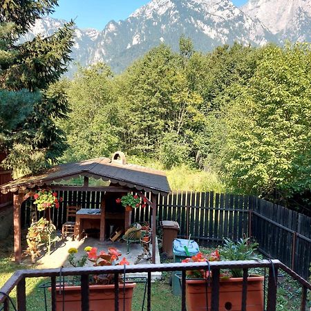 B House Buşteni Extérieur photo
