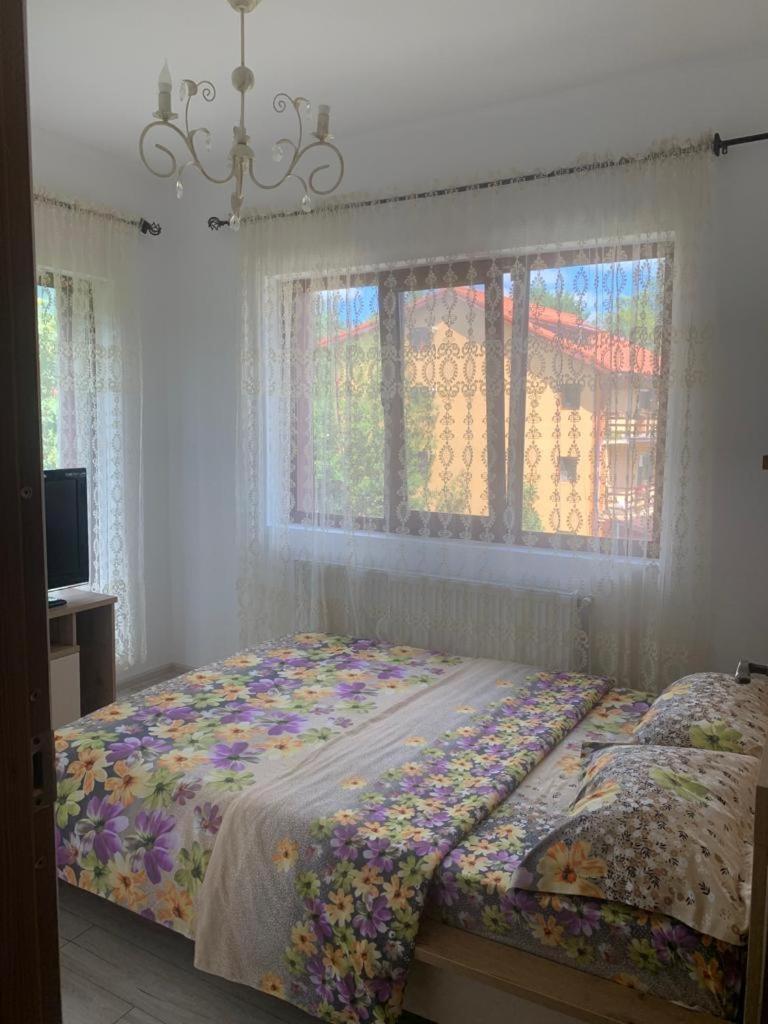 B House Buşteni Extérieur photo