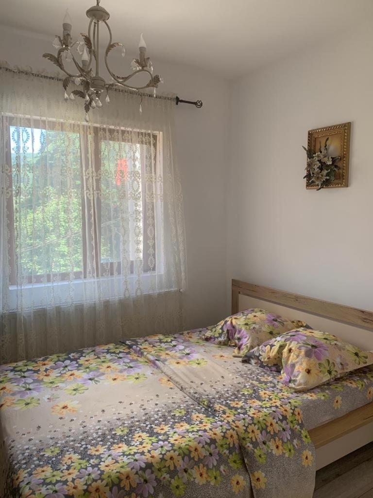 B House Buşteni Extérieur photo